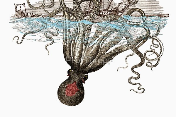 Актуальная информация о krab8 at