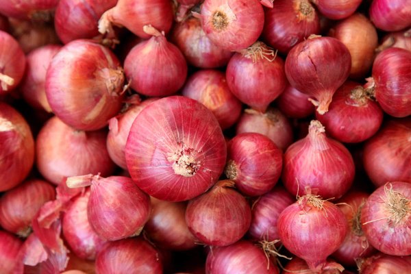 Работа с ссылка на кракен